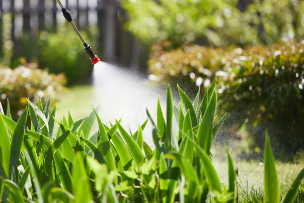 Tamper-Resistant Bait Stations for Rodents in Jarrell
