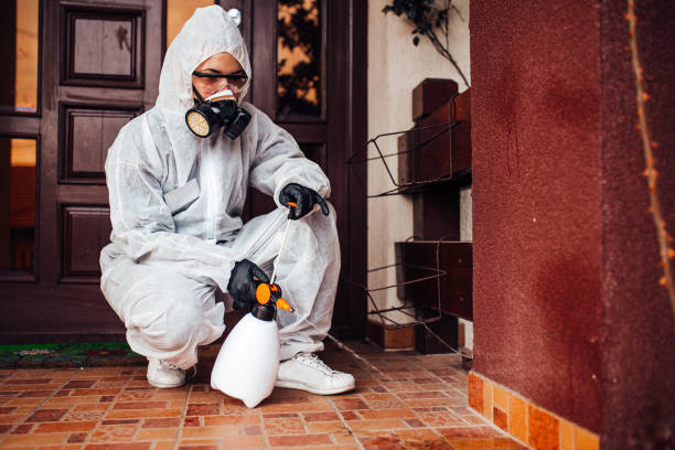 Attic and Crawl Space Rodent Treatment in Jarrell